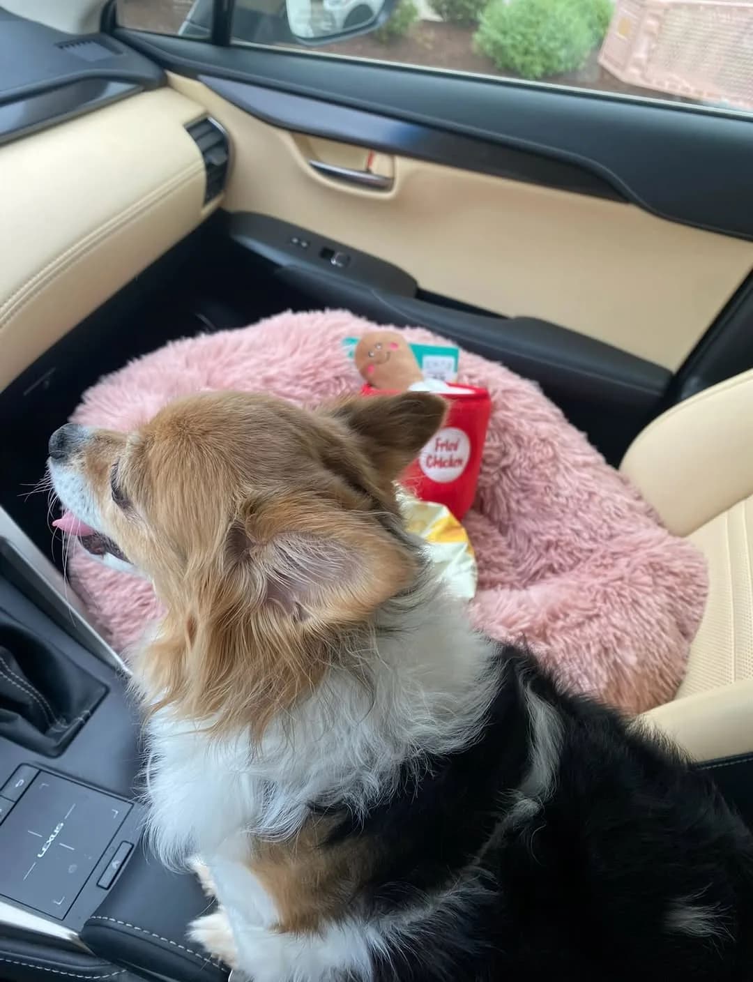 Making Every Trip Safer & Cozier