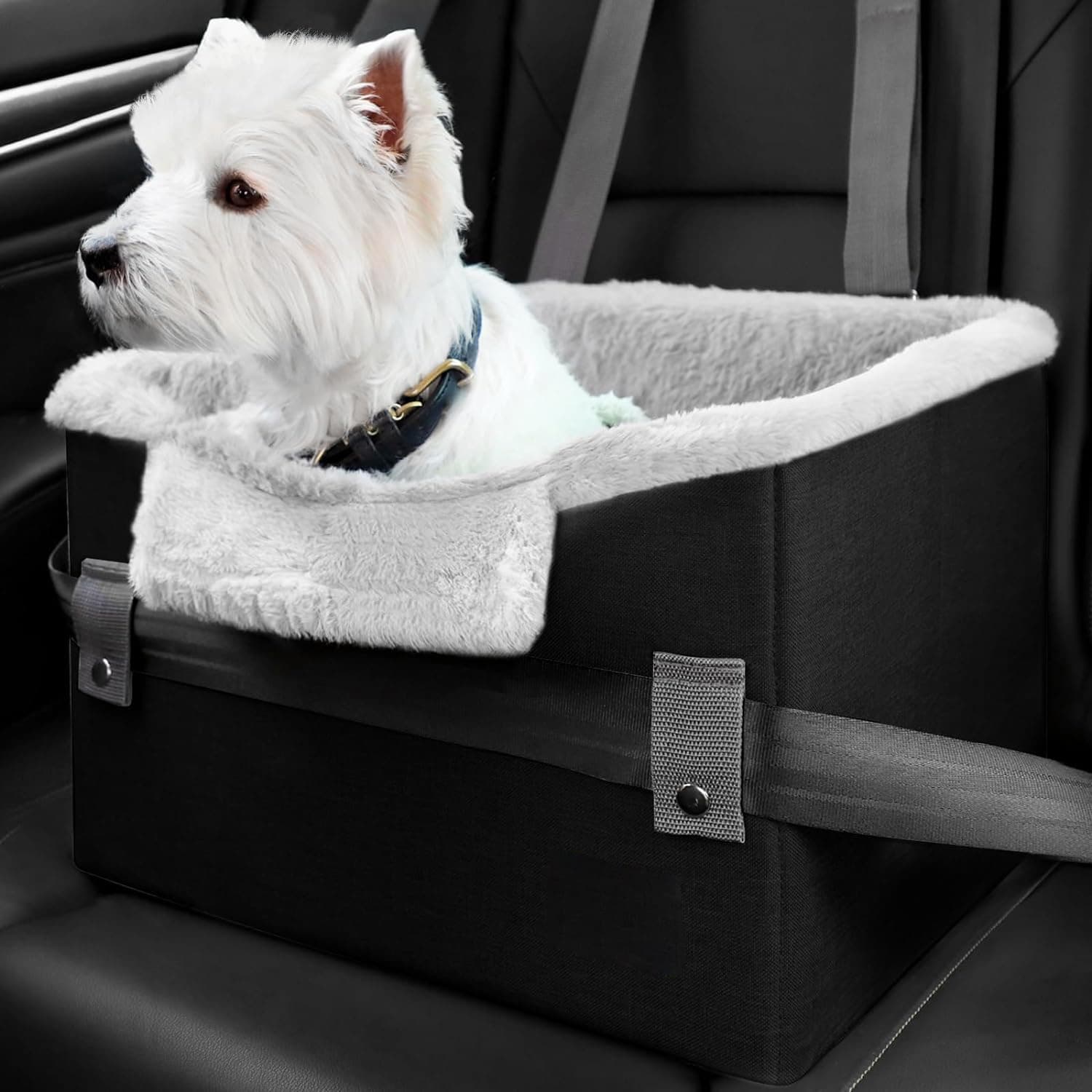Collapsible Pet Booster Seat